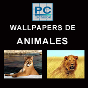 Animales