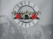 Guns & Roses